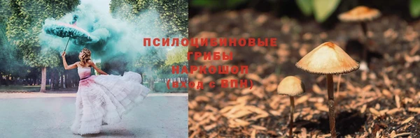 амф Костерёво