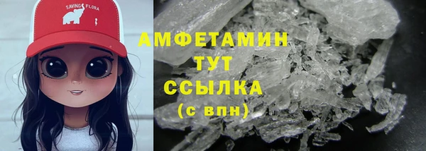 амф Костерёво