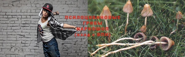 прущая мука Корсаков