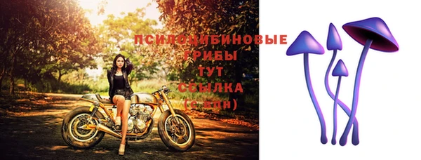 амф Костерёво