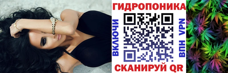гидра сайт  Шенкурск  Конопля THC 21% 